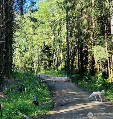 Photo of 660 lot 4 Chinook Valley Road, Chinook, WA 98614 (MLS # 2475296)
