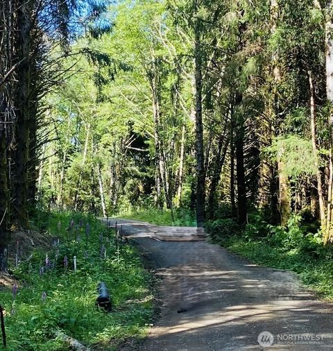 Photo of 290 lot 4 Luttrell Lane, Chinook, WA 98614 (MLS # 2475296)