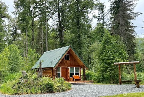 Photo of 277 Skate Creek Road N, Ashford, WA 98304 (MLS # 2542256)