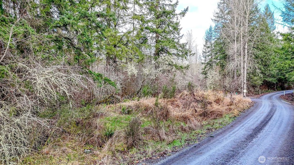 Photo of 39838 Mountain Park Drive E, Roy, WA 98580 (MLS # 2466572)