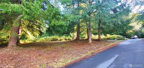 0 Feather Ridge Drive Kalama WA 98625