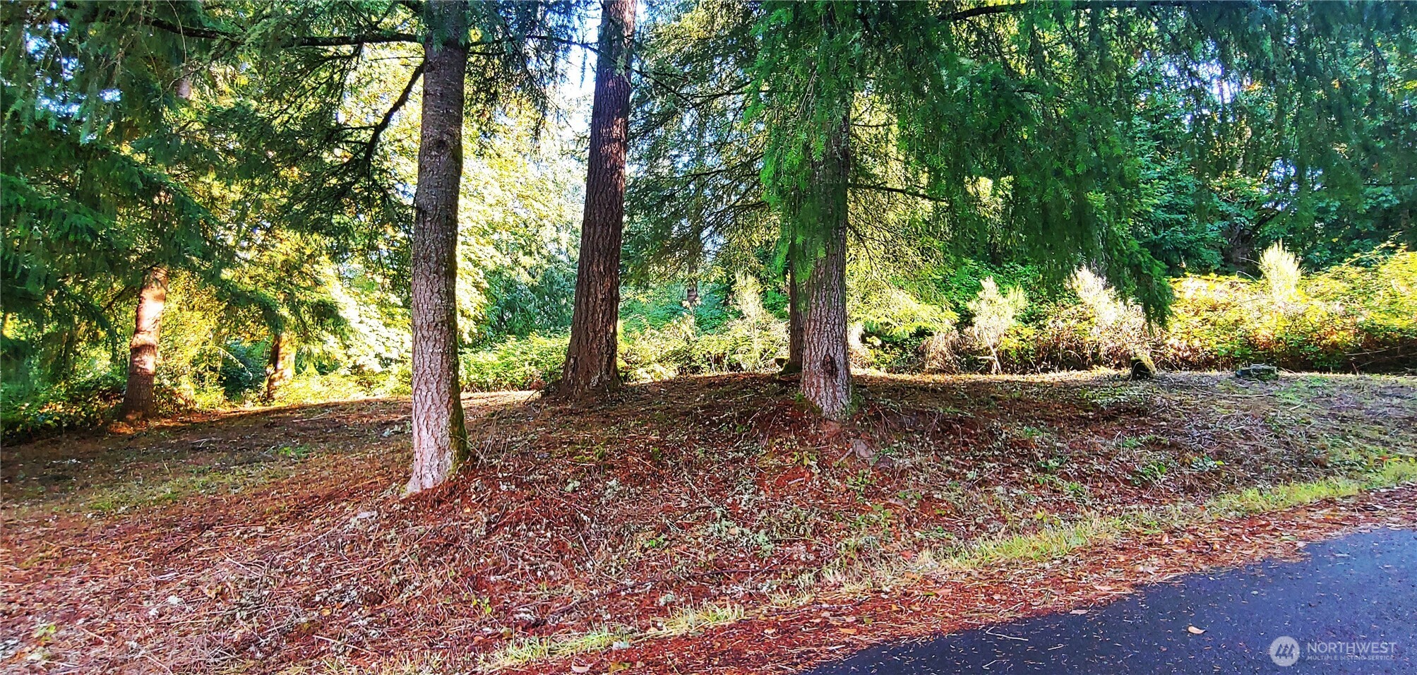 0 Feather Ridge Drive