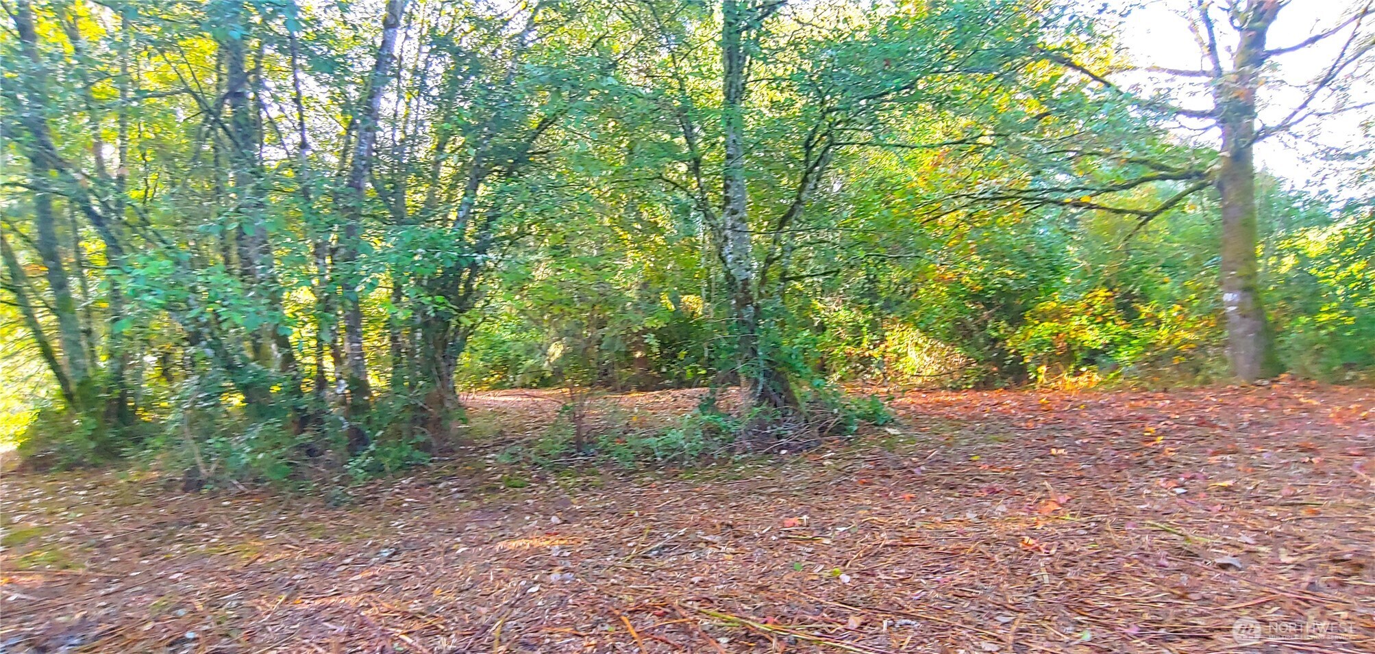 0 Feather Ridge Drive