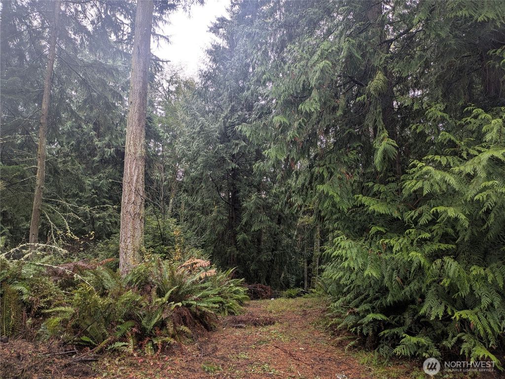 Photo of 0 XXX Sorrel Lane, Clinton, WA 98236 (MLS # 2456938)