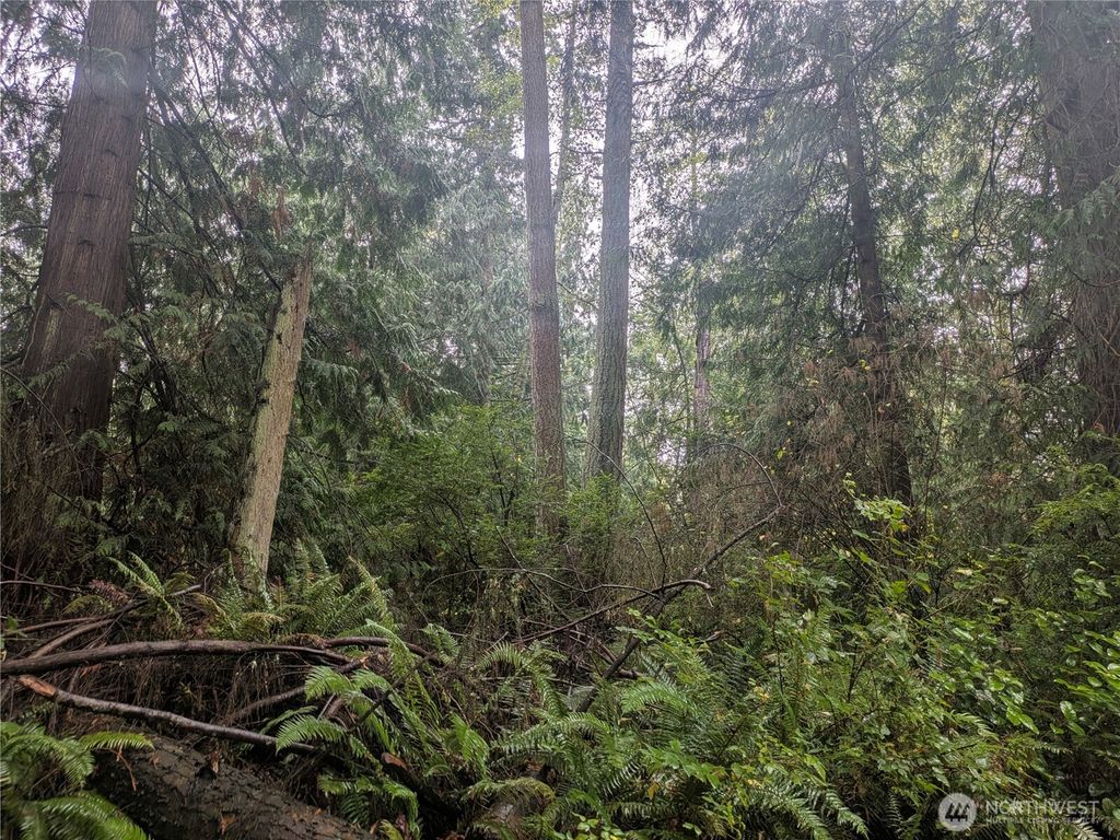 Photo of 0 XXX Sorrel Lane, Clinton, WA 98236 (MLS # 2456938)