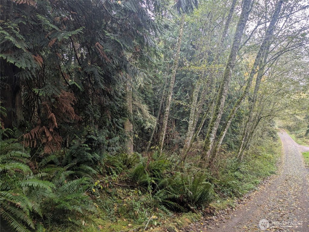 Photo of 0 XXX Sorrel Lane, Clinton, WA 98236 (MLS # 2456938)