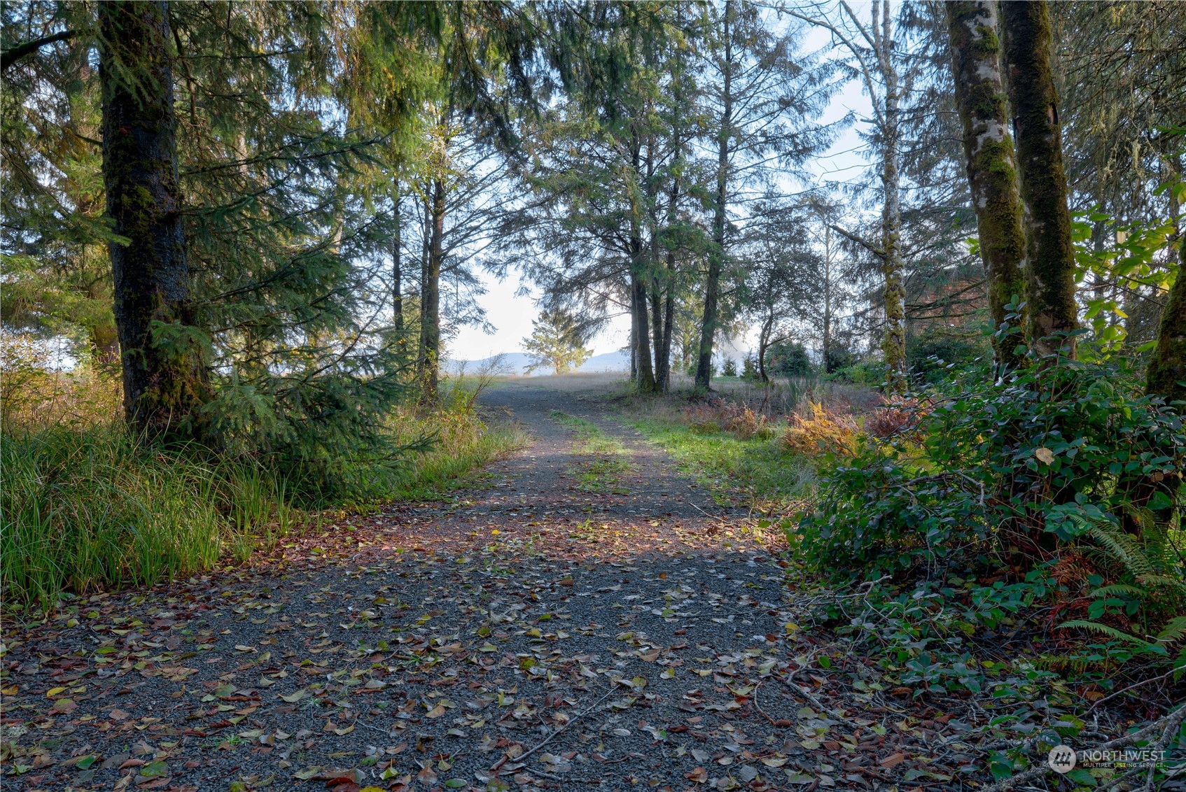 13010 Teal Lane