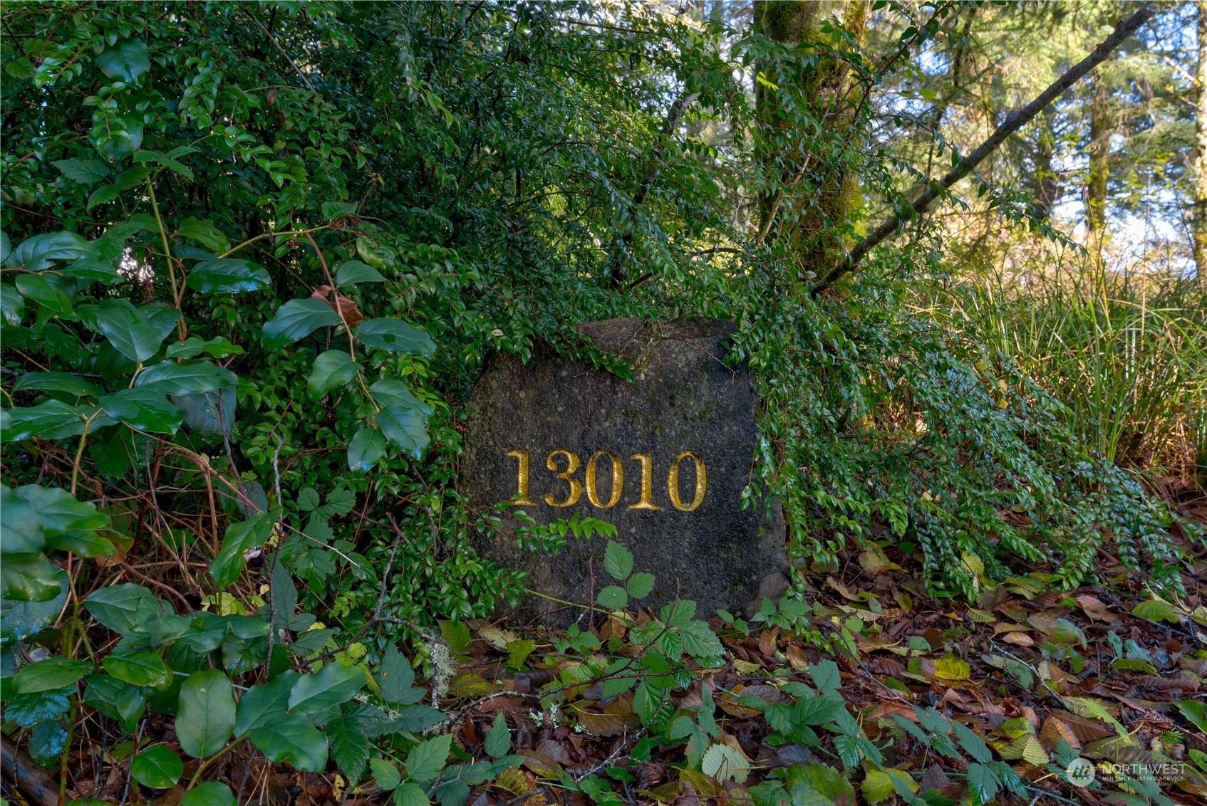 13010 Teal Lane