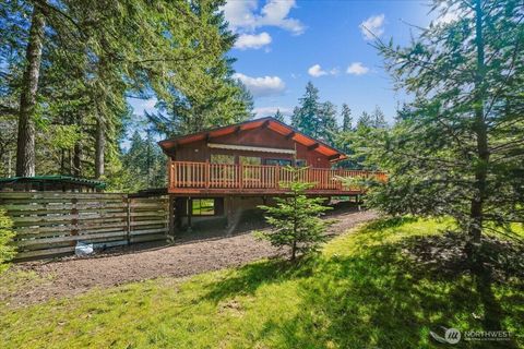 Photo of 10706 Pioneer Drive, Anderson Island, WA 98303 (MLS # 2501454)