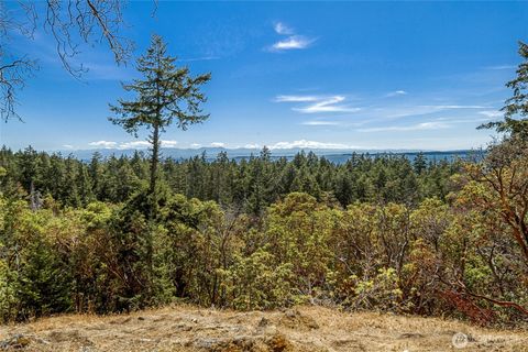 Photo of 179 High Haro Drive, San Juan Island, WA 98250 (MLS # 2497068)
