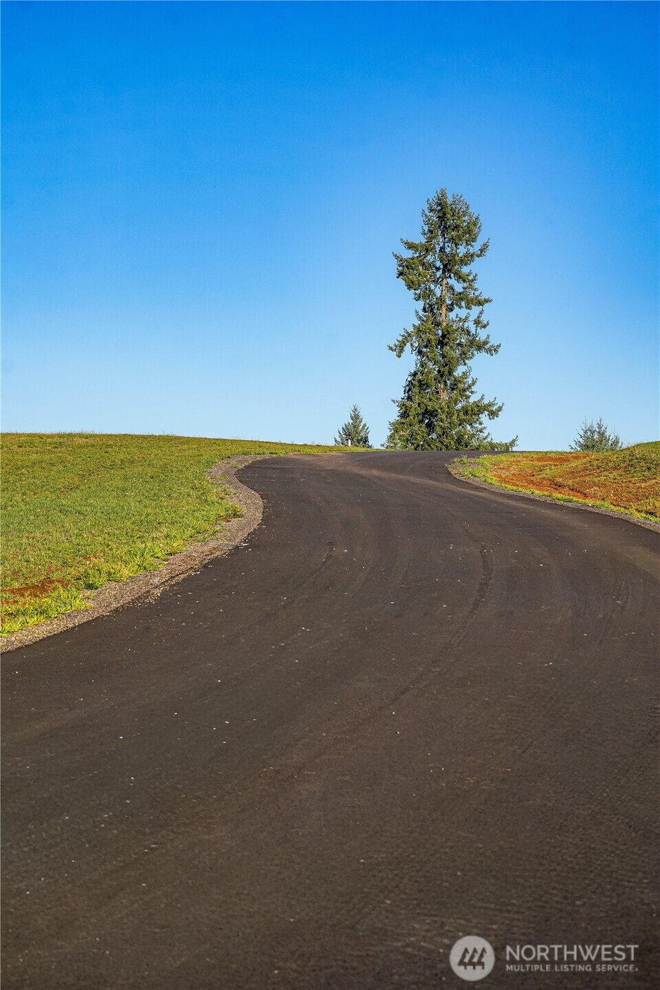 161 Cooper Hill Court