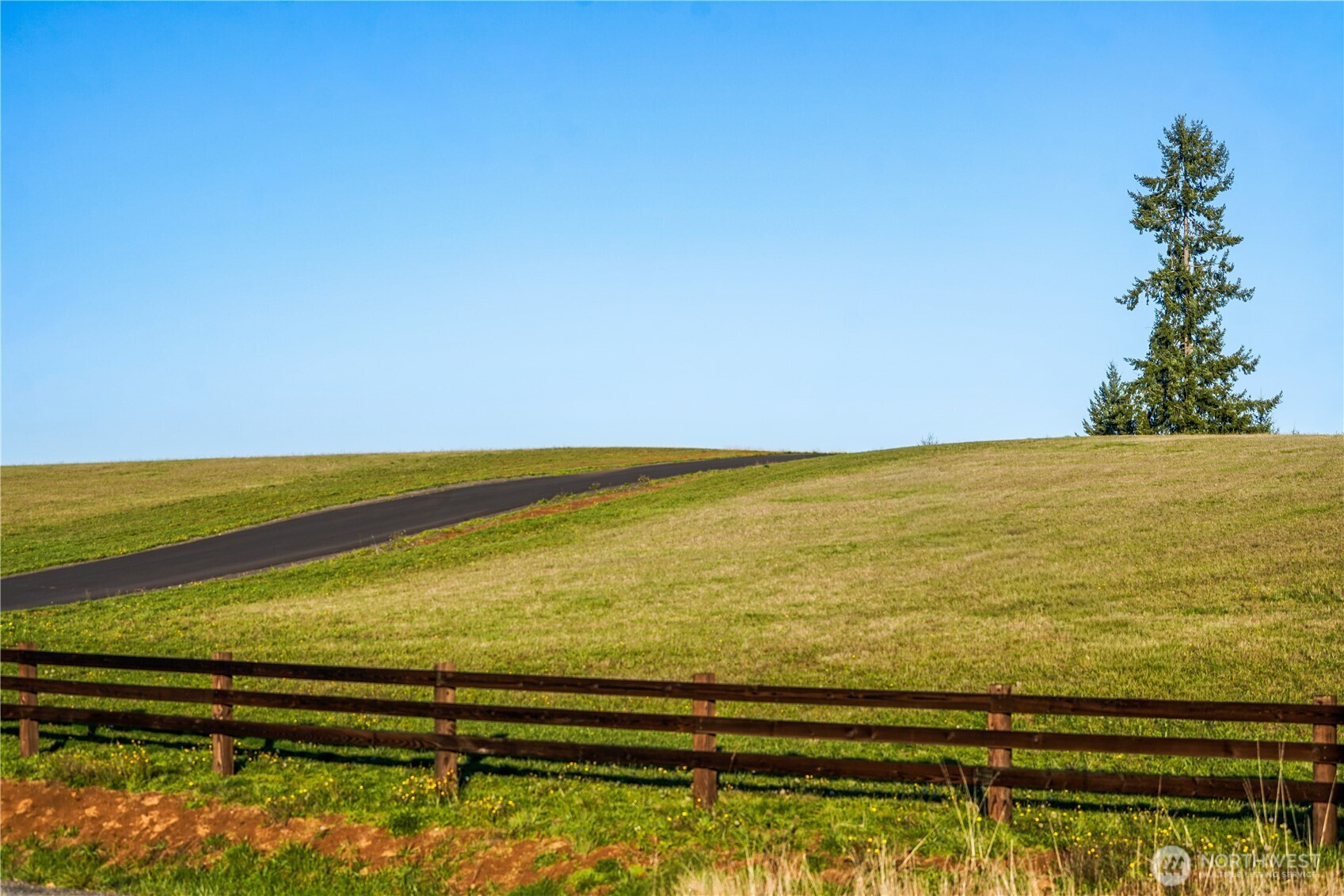 161 Cooper Hill Court