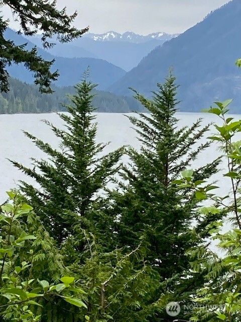 246 N Lakeshore Place Hoodsport WA 98548