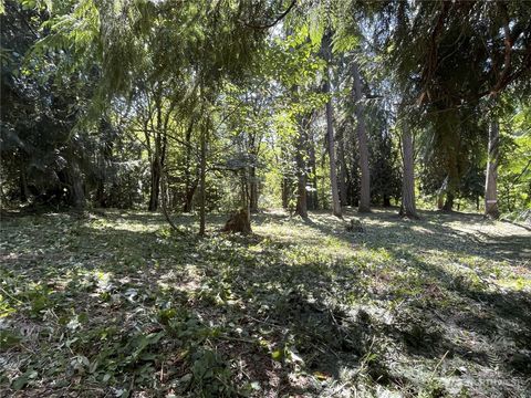 Photo of 1203 X Dave Road, Redmond, WA 98052 (MLS # 2257833)