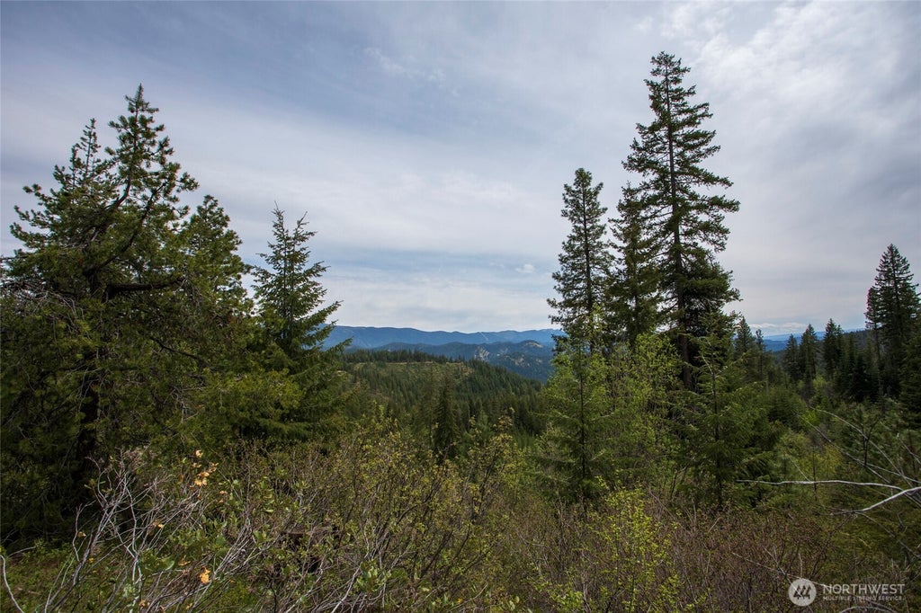 Photo of 0 Forest Service 6601-550 Rd #D, Leavenworth, WA 98826 (MLS # 2578921)