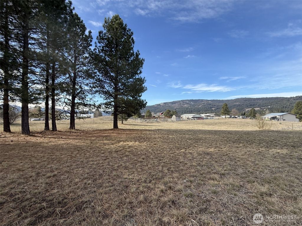 Photo of 0 Lot 55 Heron Loop Road, Republic, WA 99166 (MLS # 2493399)