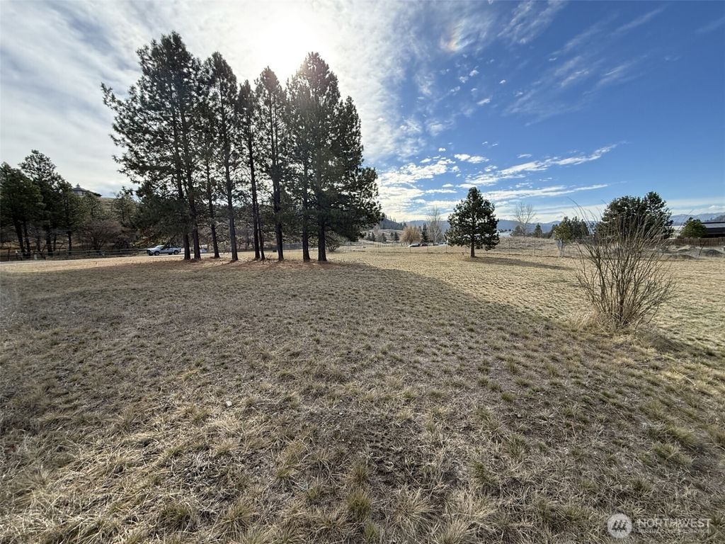 Photo of 0 Lot 55 Heron Loop Road, Republic, WA 99166 (MLS # 2493399)
