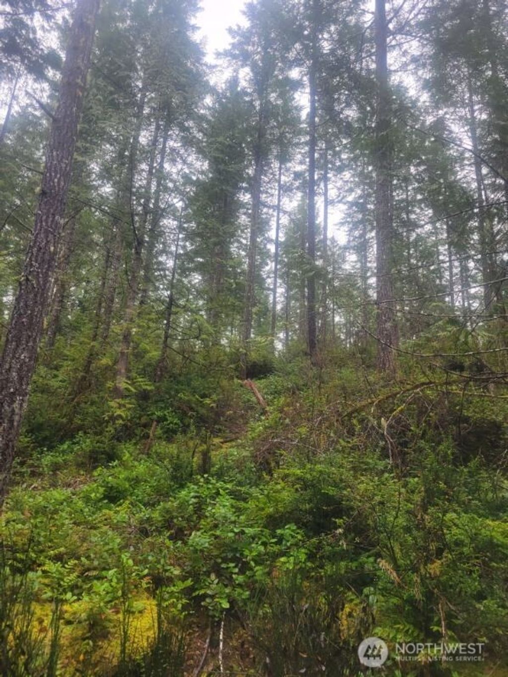 Photo of 1 GD 2048 Rd, Union, WA 98592 (MLS # 2470369)