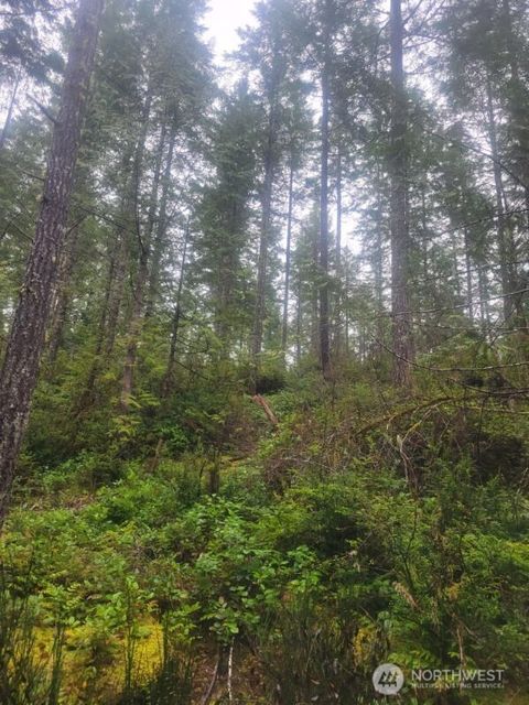 1 GD 2048 Rd Union WA 98592