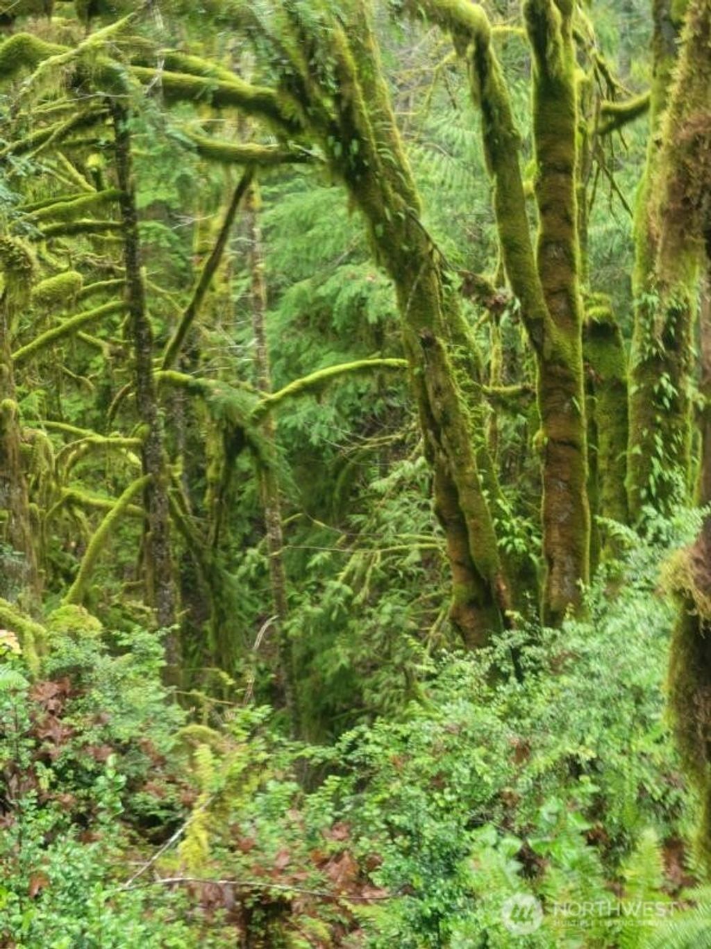 Photo of 1 GD 2048 Rd, Union, WA 98592 (MLS # 2470369)