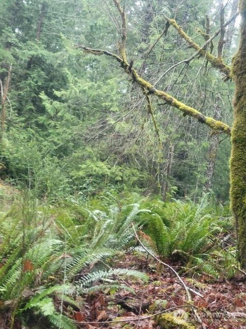 1 GD 2048 Rd Union WA 98592