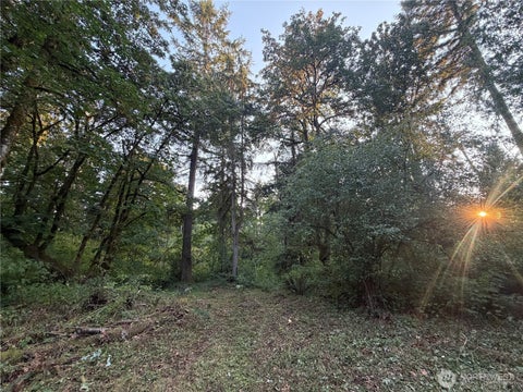 Photo of 19009 51st Avenue SE, Bothell, WA 98012 (MLS # 2563492)