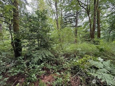 Photo of 5 xxx 229th Avenue SE, Issaquah, WA 98027 (MLS # 2552257)