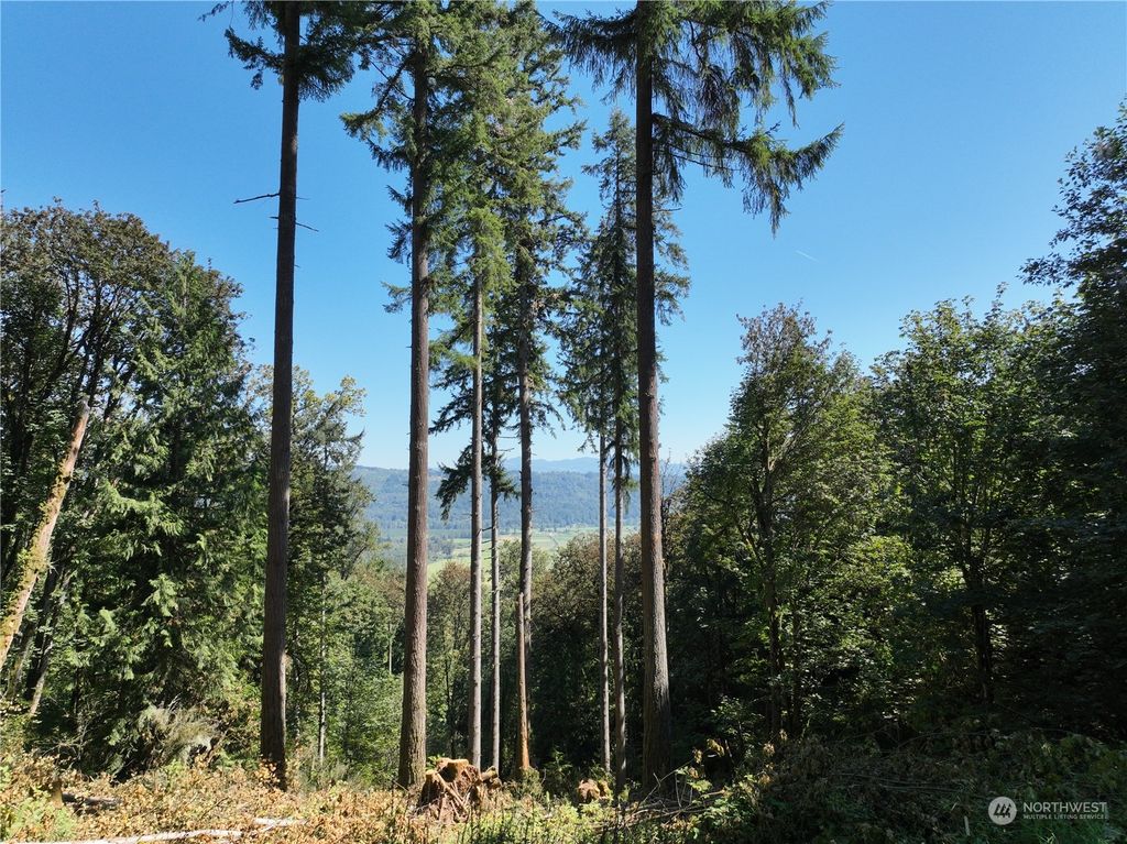 Photo of 19770 244th Avenue NE, Woodinville, WA 98077 (MLS # 2286757)