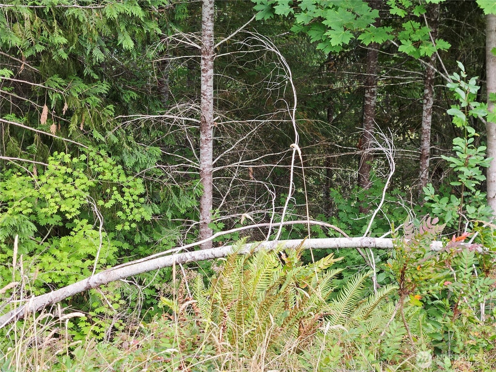 Photo of 390 W Satsop Drive, Elma, WA 98541 (MLS # 2577194)