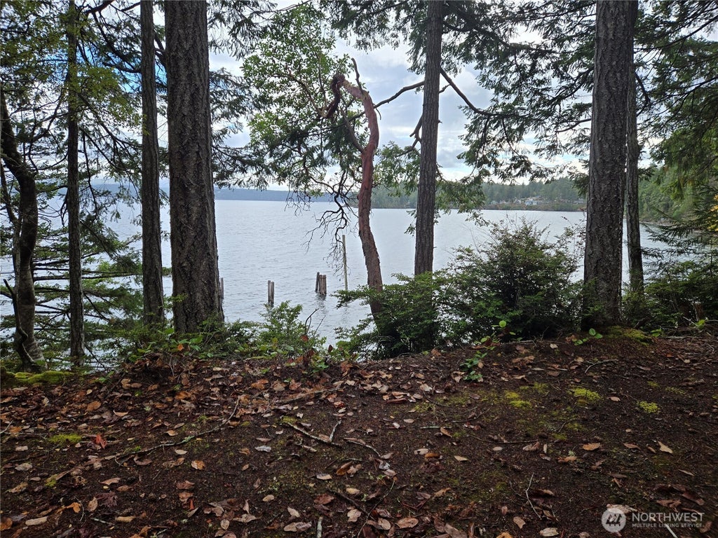 Photo of 91 Pleasant Harbor Road, Brinnon, WA 98320 (MLS # 2593140)