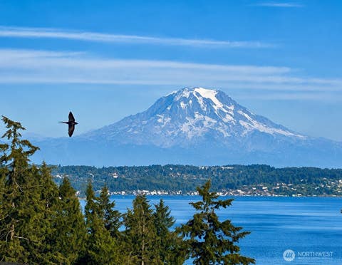 Photo of 8818 30th Street Ct NW, Gig Harbor, WA 98335 (MLS # 2567464)