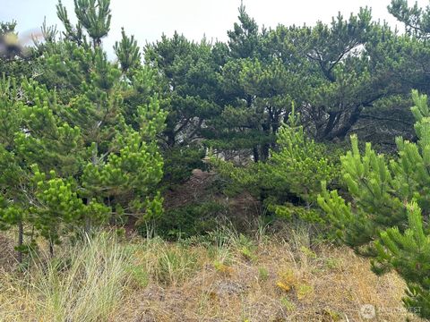 Photo of 1002 311th Street, Ocean Park, WA 98640 (MLS # 2406328)