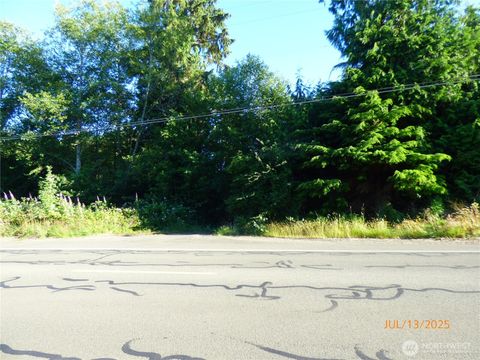 Photo of 0 Central Park Drive, Aberdeen, WA 98520 (MLS # 2418214)