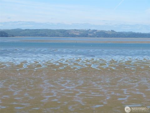 Photo of 0 XXX State Route 101, South Bend, WA 98586 (MLS # 2535255)