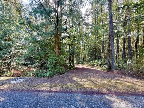 Photo of 1111 Tarte Road, Friday Harbor, WA 98250 (MLS # 2495071)