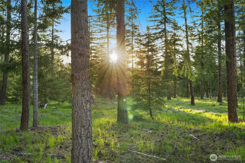 Photo of 1001 Domerie Park Loop, Cle Elum, WA 98922 (MLS # 2472690)