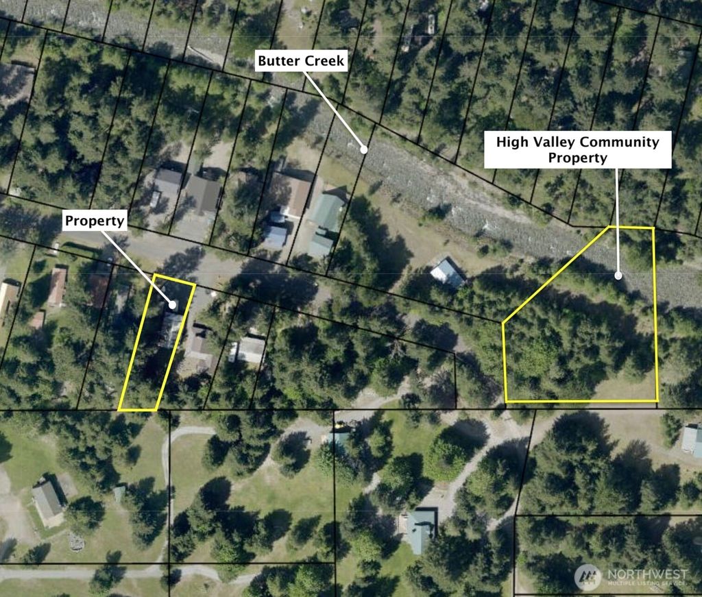 Photo of 0 Butter Creek Lane, Packwood, WA 98361 (MLS # 2515446)