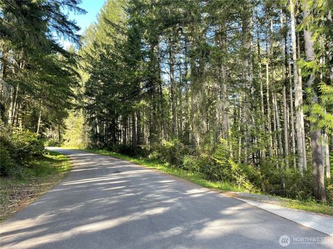 11024 Cascade Place Anderson Island WA 98303