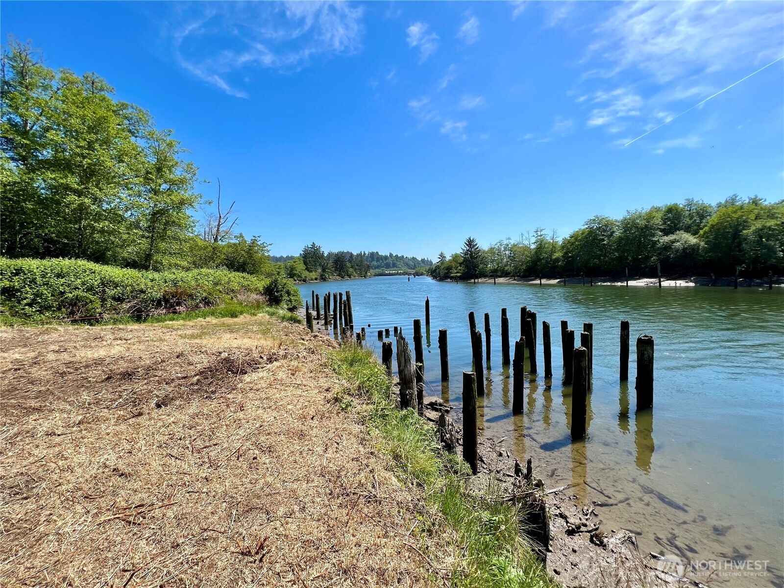 1010 Division Street