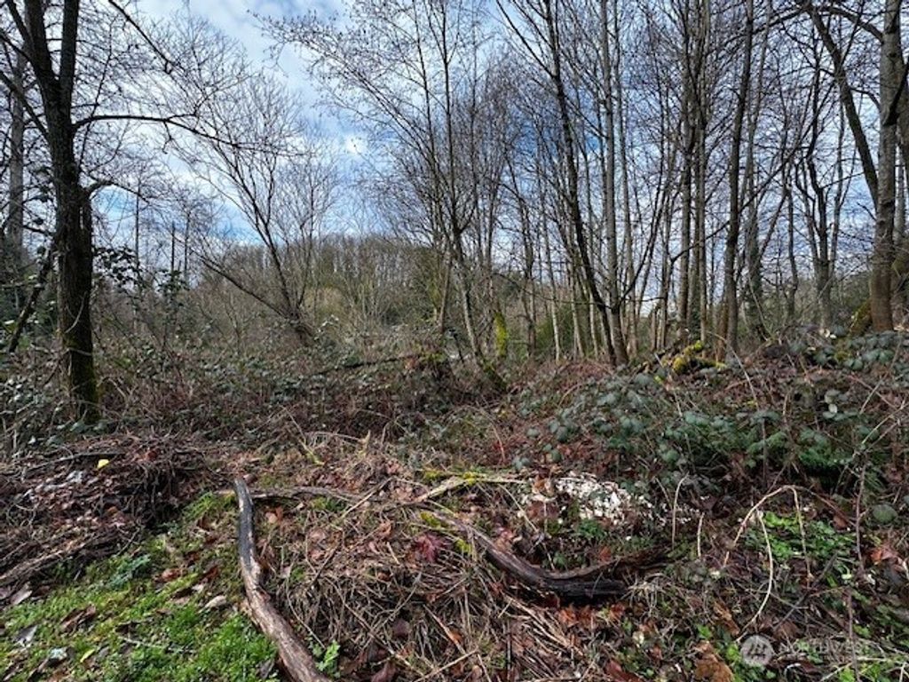 Photo of 123 47th Avenue S, Seattle, WA 98178 (MLS # 2443939)