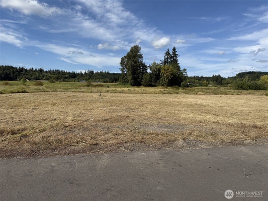 16 SUNBURST LANE, ONALASKA, WA 98570 - Image ba7d2a43ebee21db37dc44a4bb02bb0e/2425891315