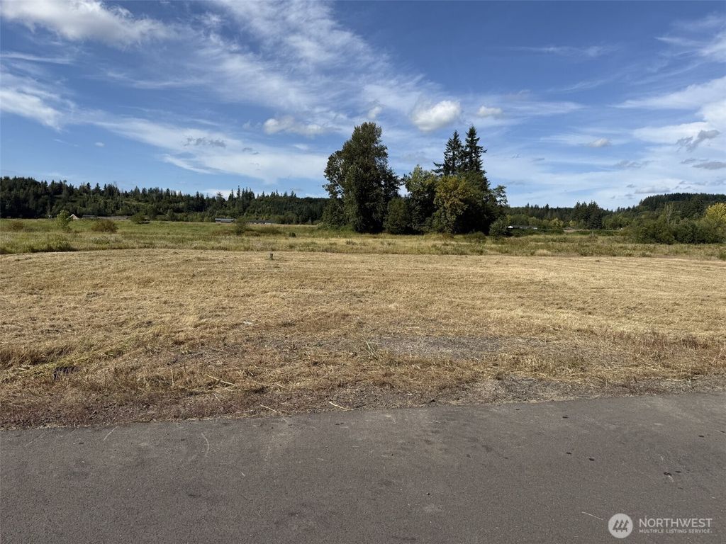 Photo of 16 Sunburst Lane, Onalaska, WA 98570 (MLS # 2490642)