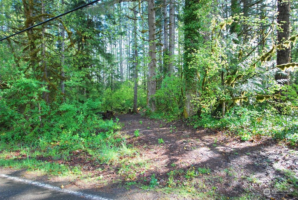Photo of 0 NE Old Cascade Highway, Skykomish, WA 98288 (MLS # 2066041)