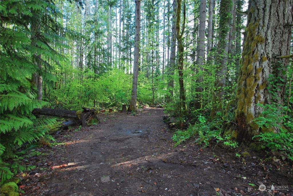 Photo of 0 NE Old Cascade Highway, Skykomish, WA 98288 (MLS # 2066041)