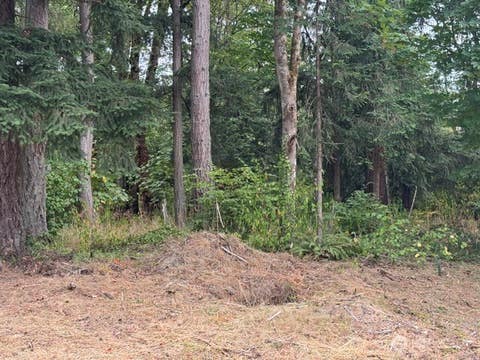 Photo of 36852 52nd Avenue S #C-N, Auburn, WA 98001 (MLS # 2572867)
