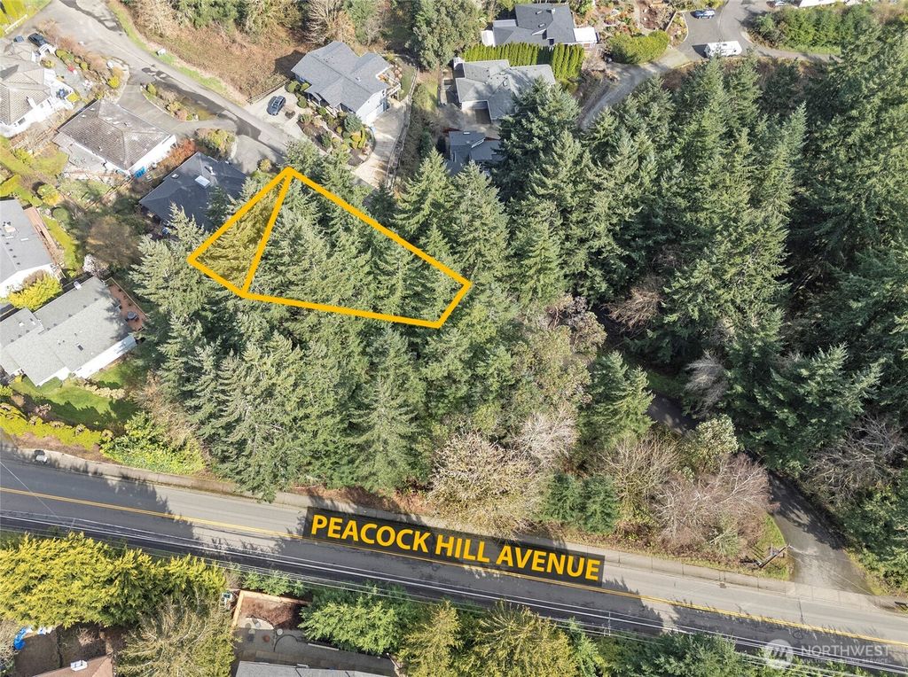 Photo of 9806 Sari Lane, Gig Harbor, WA 98332 (MLS # 2497354)