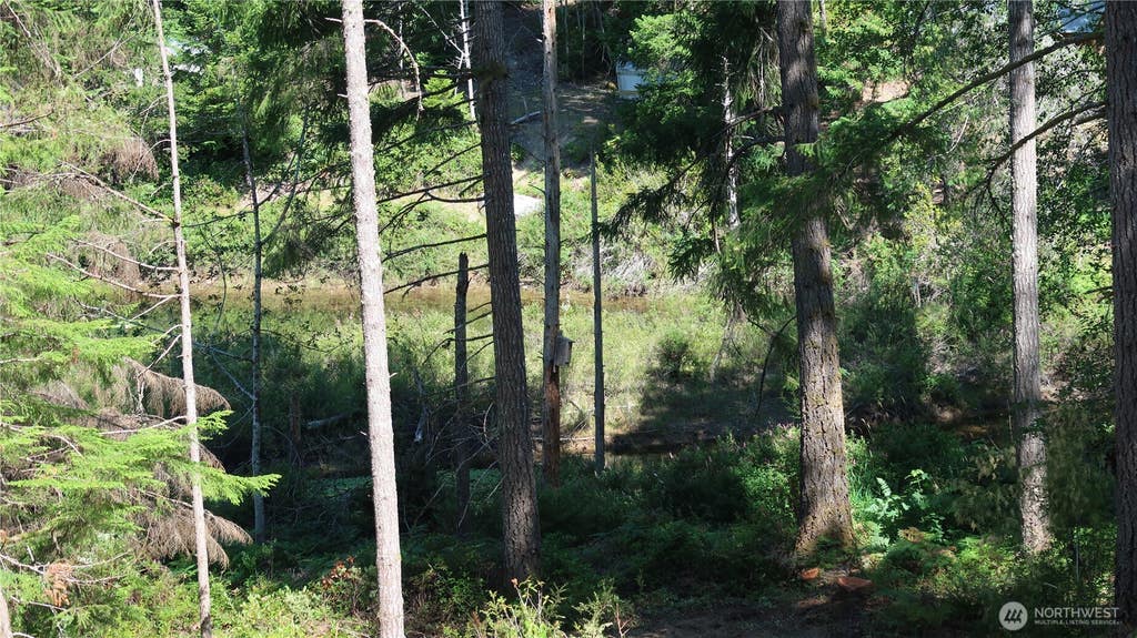 Photo of 431 NE Collins Lake Dr. DR, Tahuya, WA 98588 (MLS # 2543227)