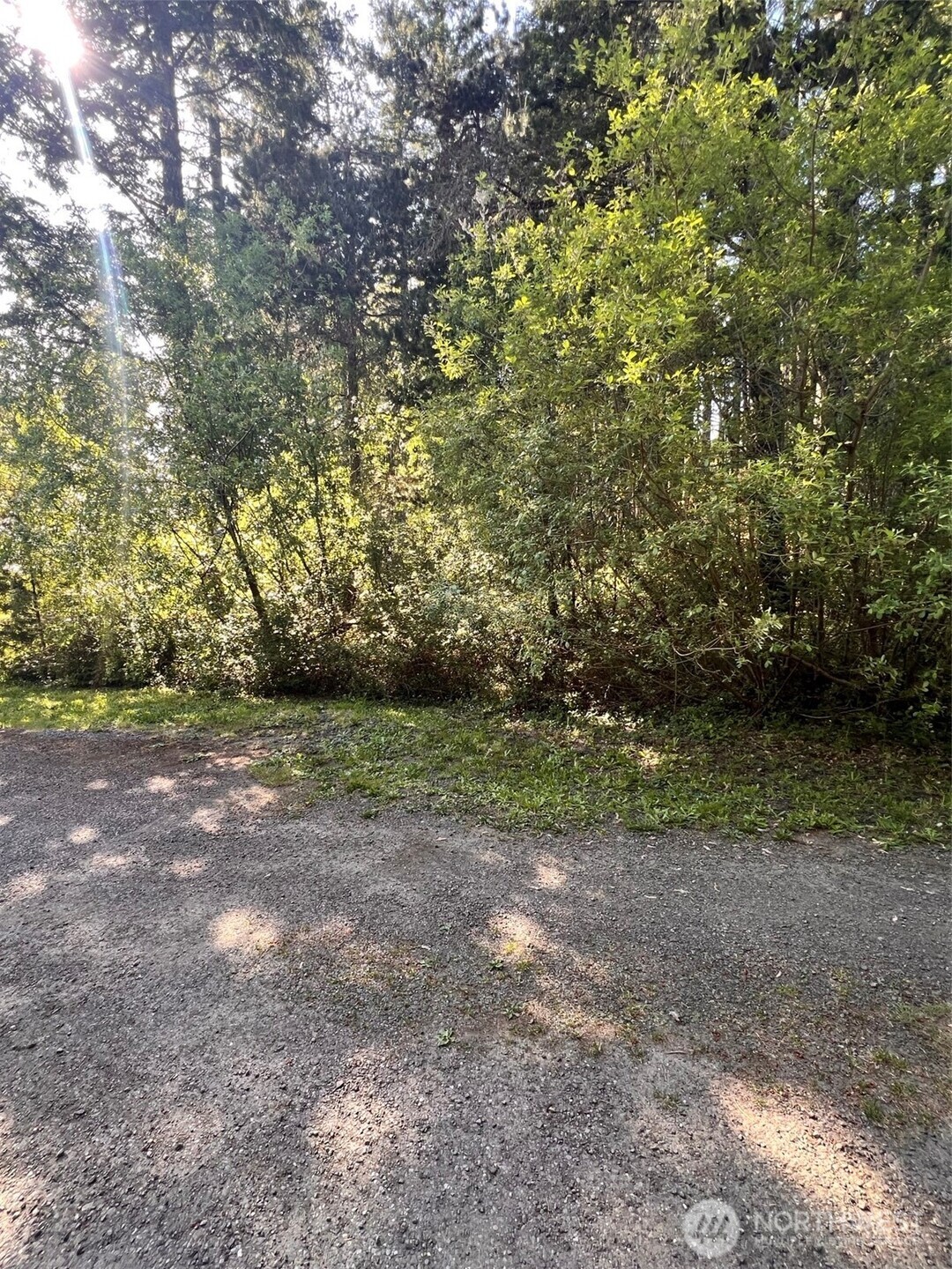 61 NE Fern Court