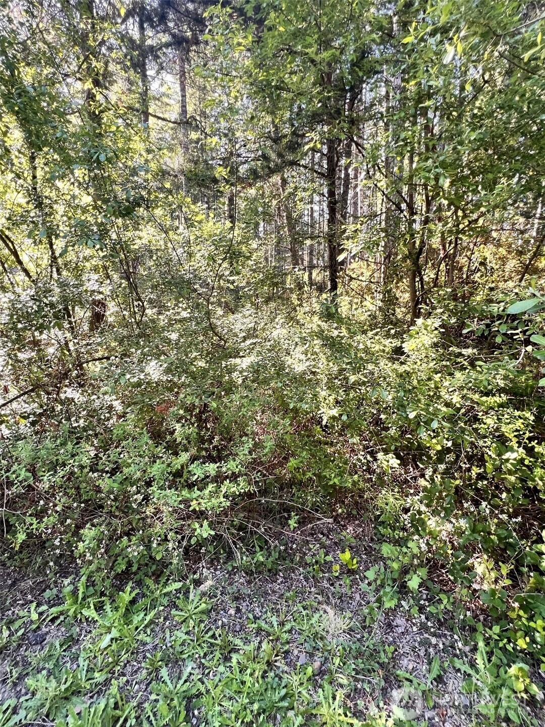 61 NE Fern Court