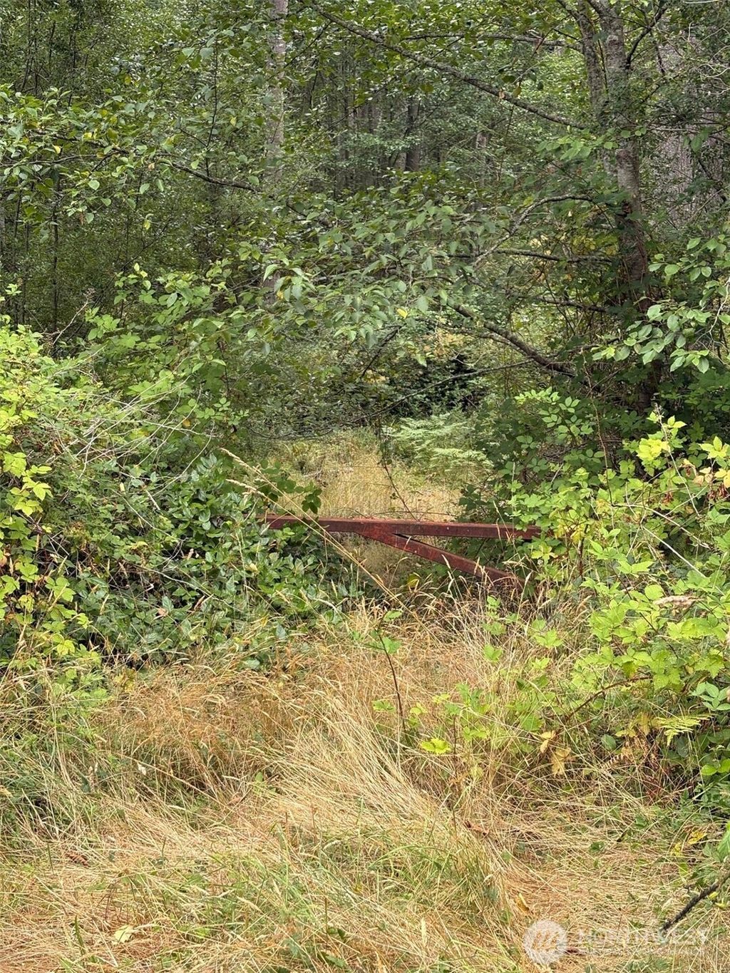 Photo of 0 State Route 525, Freeland, WA 98249 (MLS # 2463146)